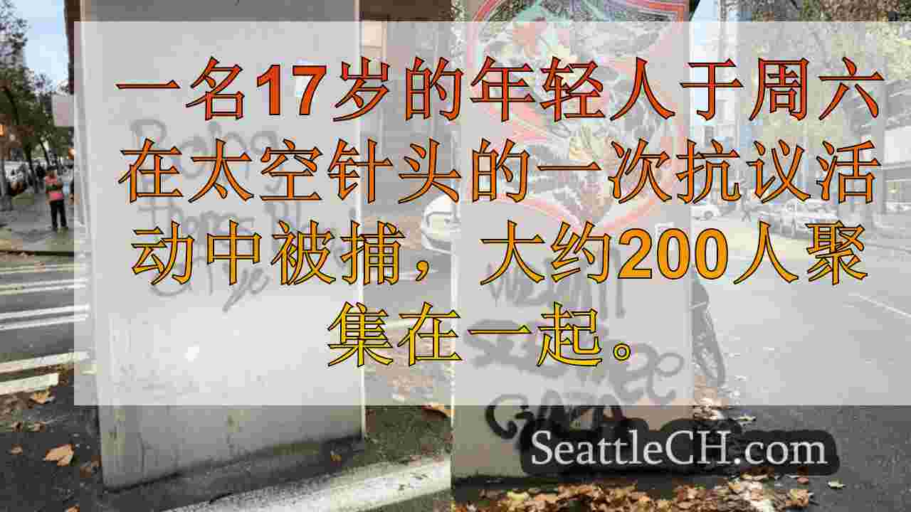 青少年在西雅图太空针头附近的示范中因涂鸦而被捕