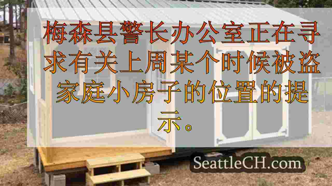 单身母亲的小房子，有不可替代的物品，梅森县被盗