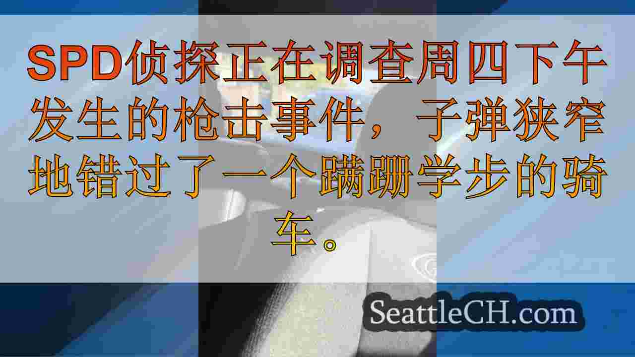 蹒跚学步的子弹在西雅图的Sandpoint附近撞车时险些逃脱伤害