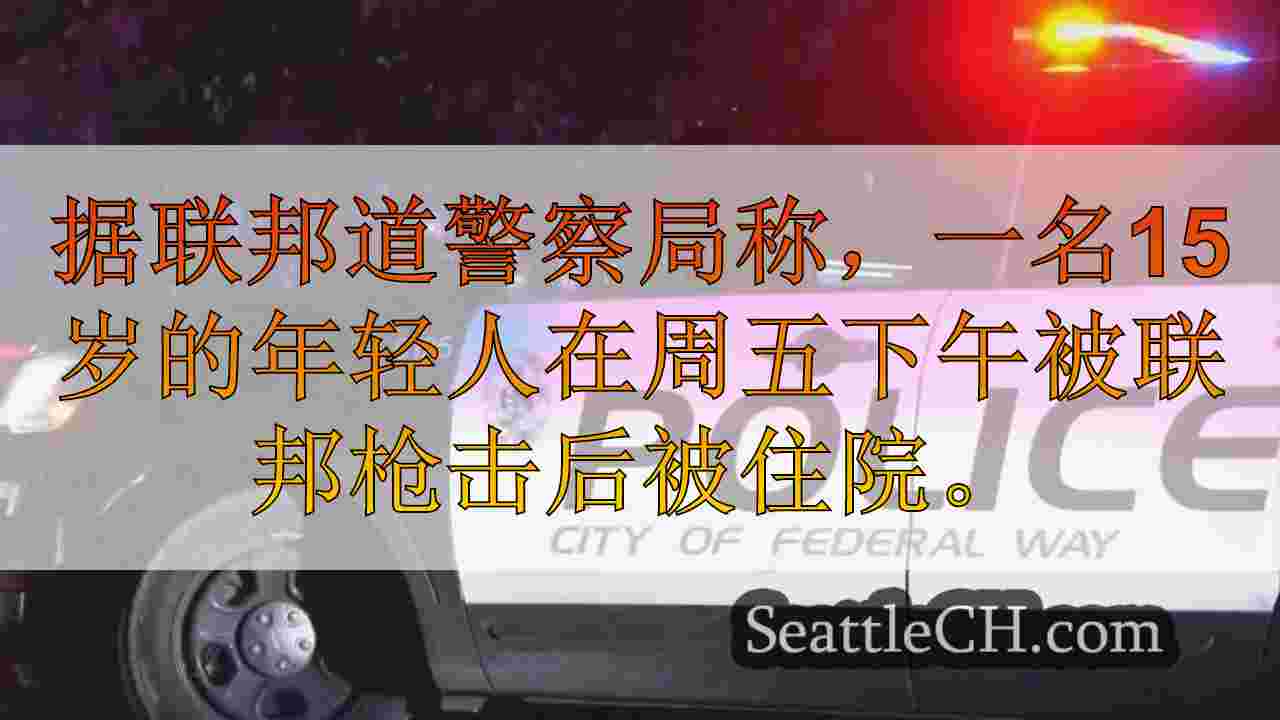 15岁男孩以联邦方式受伤；嫌疑人仍然很大