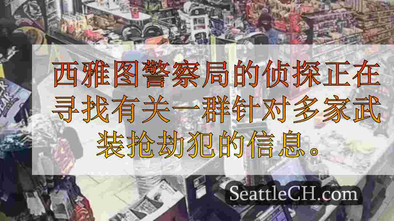 11岁的犯罪嫌疑人因武装武装抢劫而被捕