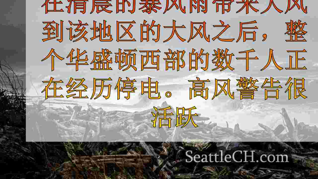 大风导致华盛顿西部的普遍中断