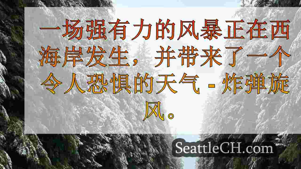 西雅图新闻 SeattleCH