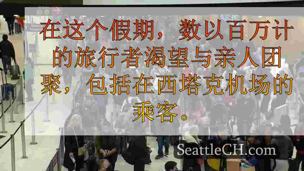 假日旅行奔跑袭击西雅图 - 塔科马国际机场