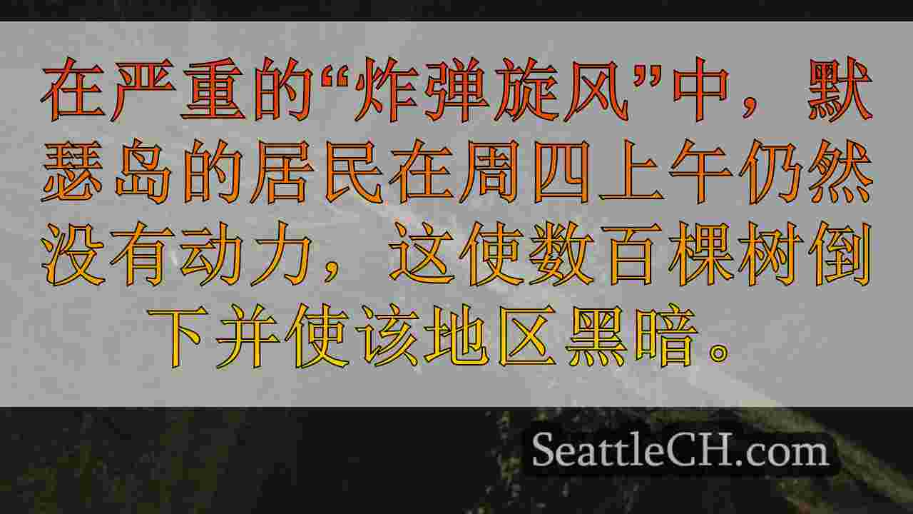 西雅图新闻 SeattleCH