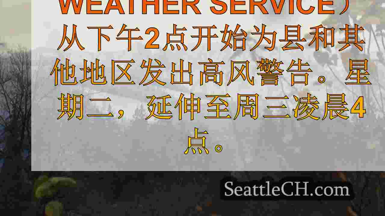 西雅图新闻 SeattleCH