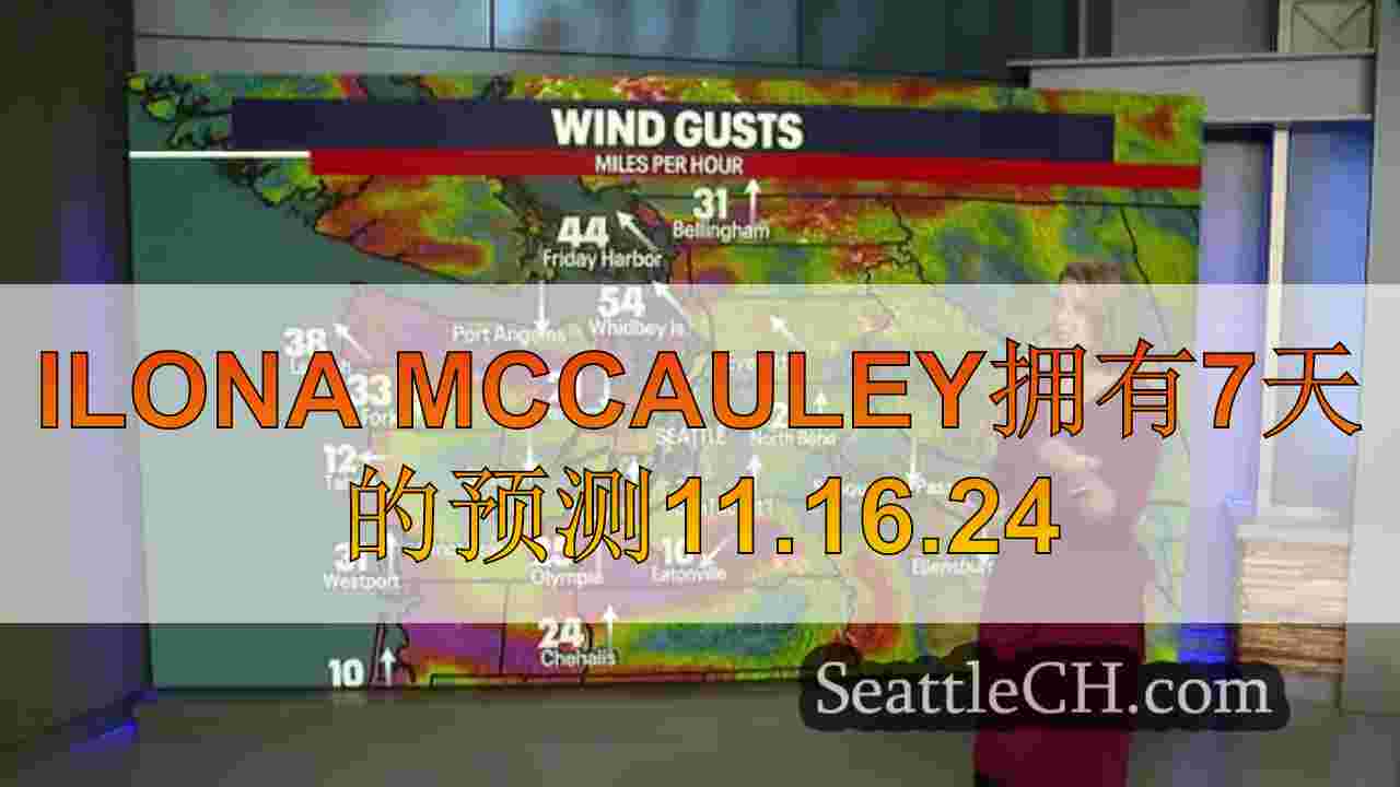 西雅图新闻 SeattleCH