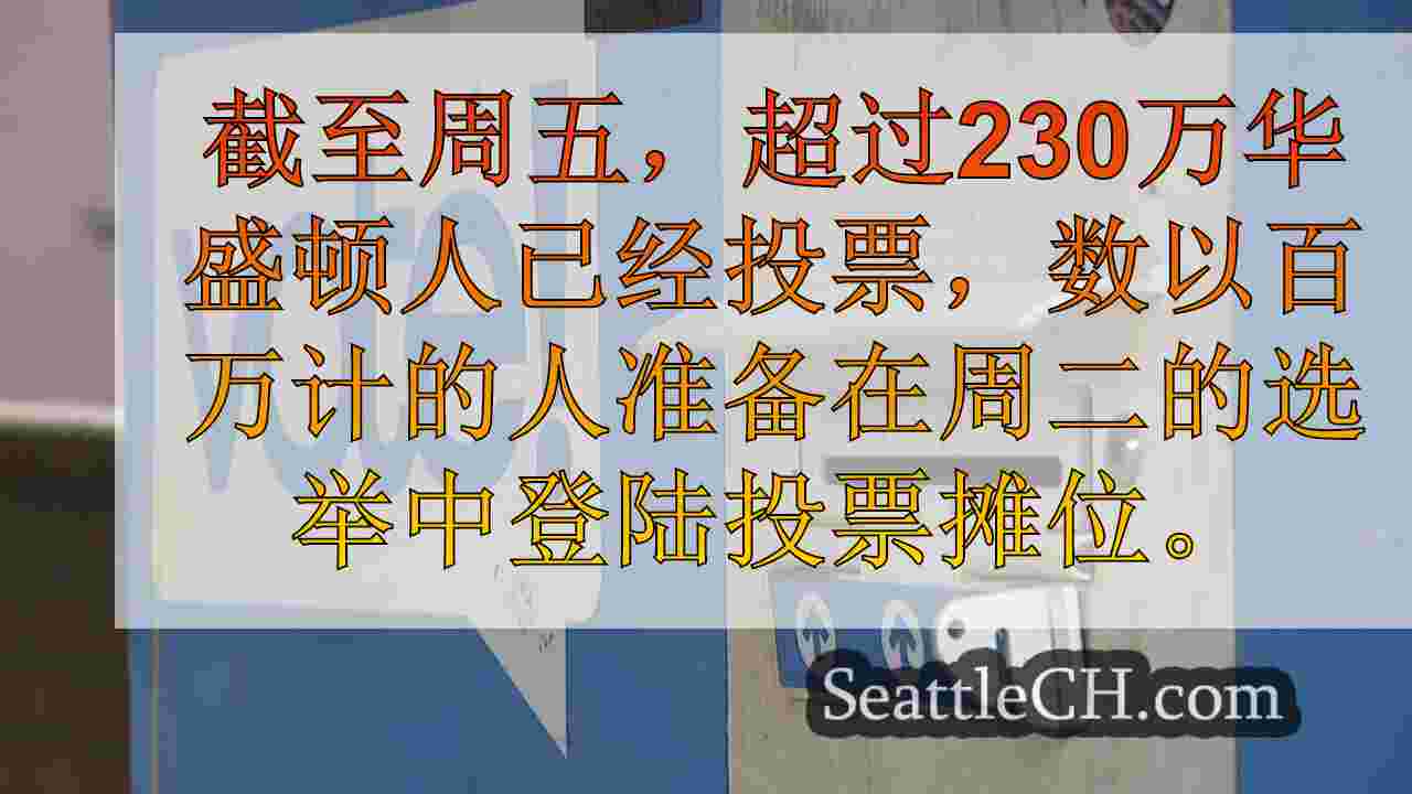 如何在华盛顿跟踪您的选票