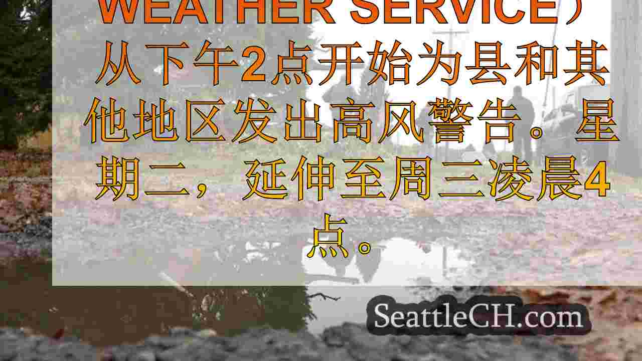 西雅图新闻 SeattleCH