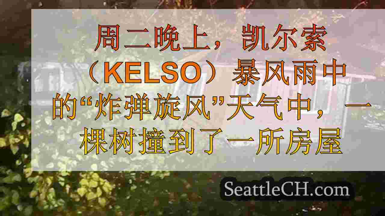 西雅图新闻 SeattleCH