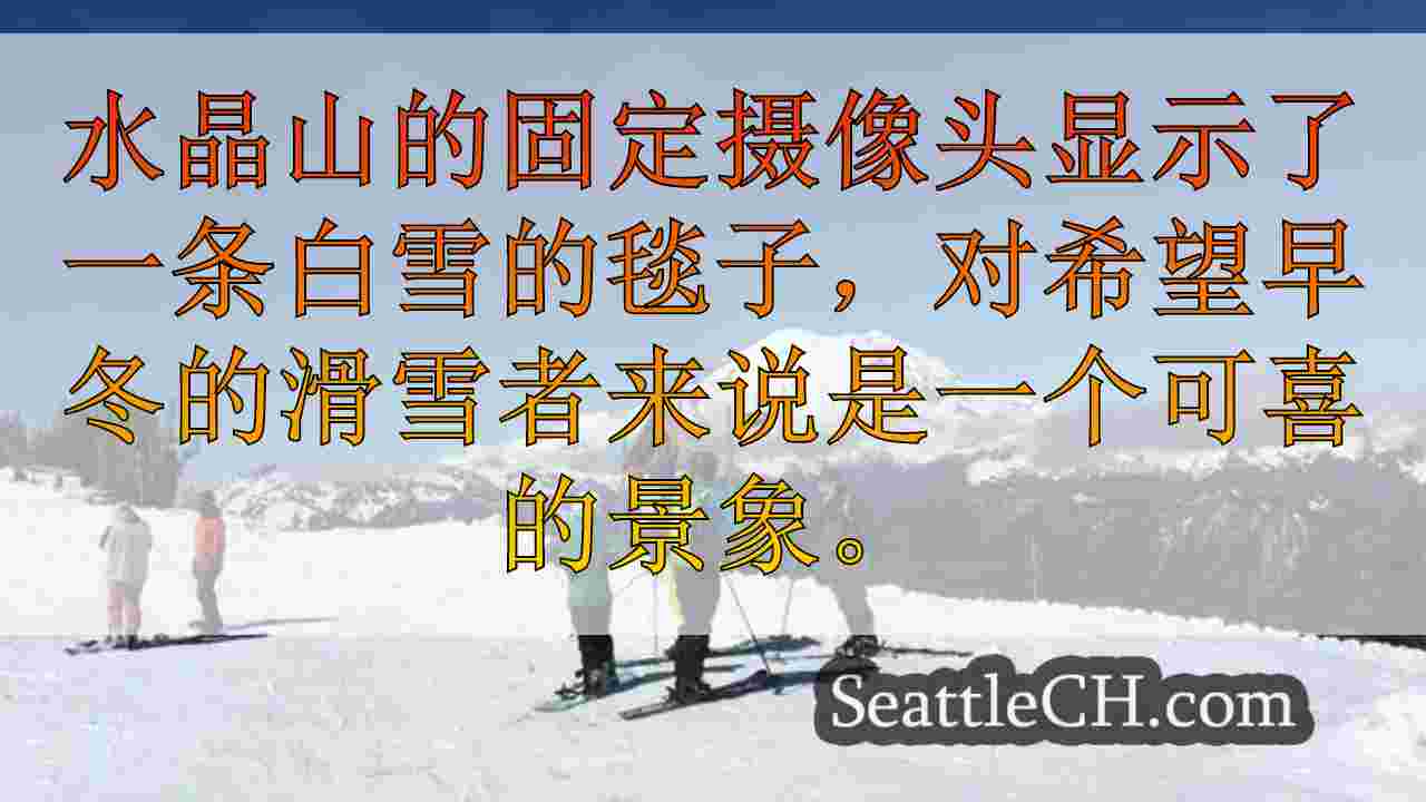 西雅图新闻 SeattleCH