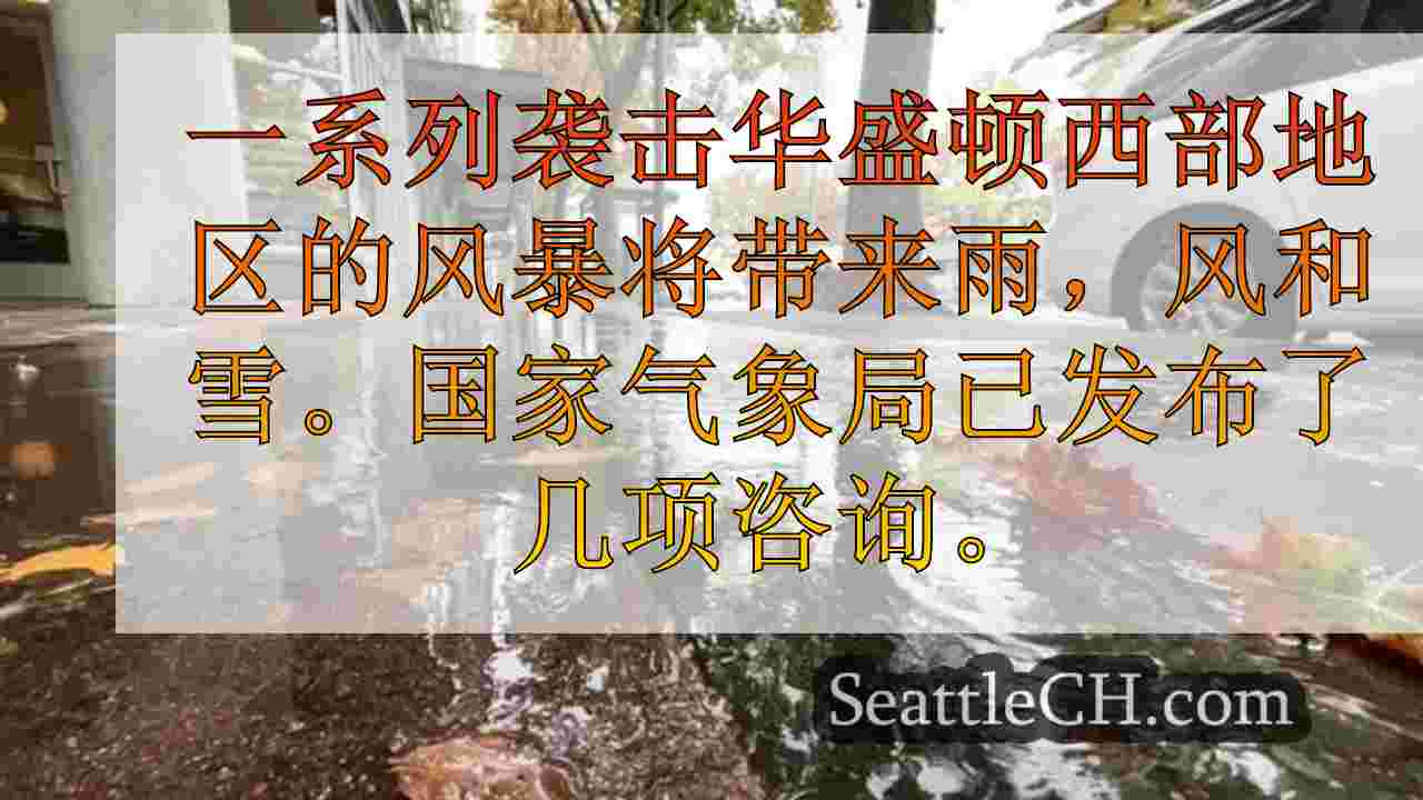 西雅图新闻 SeattleCH