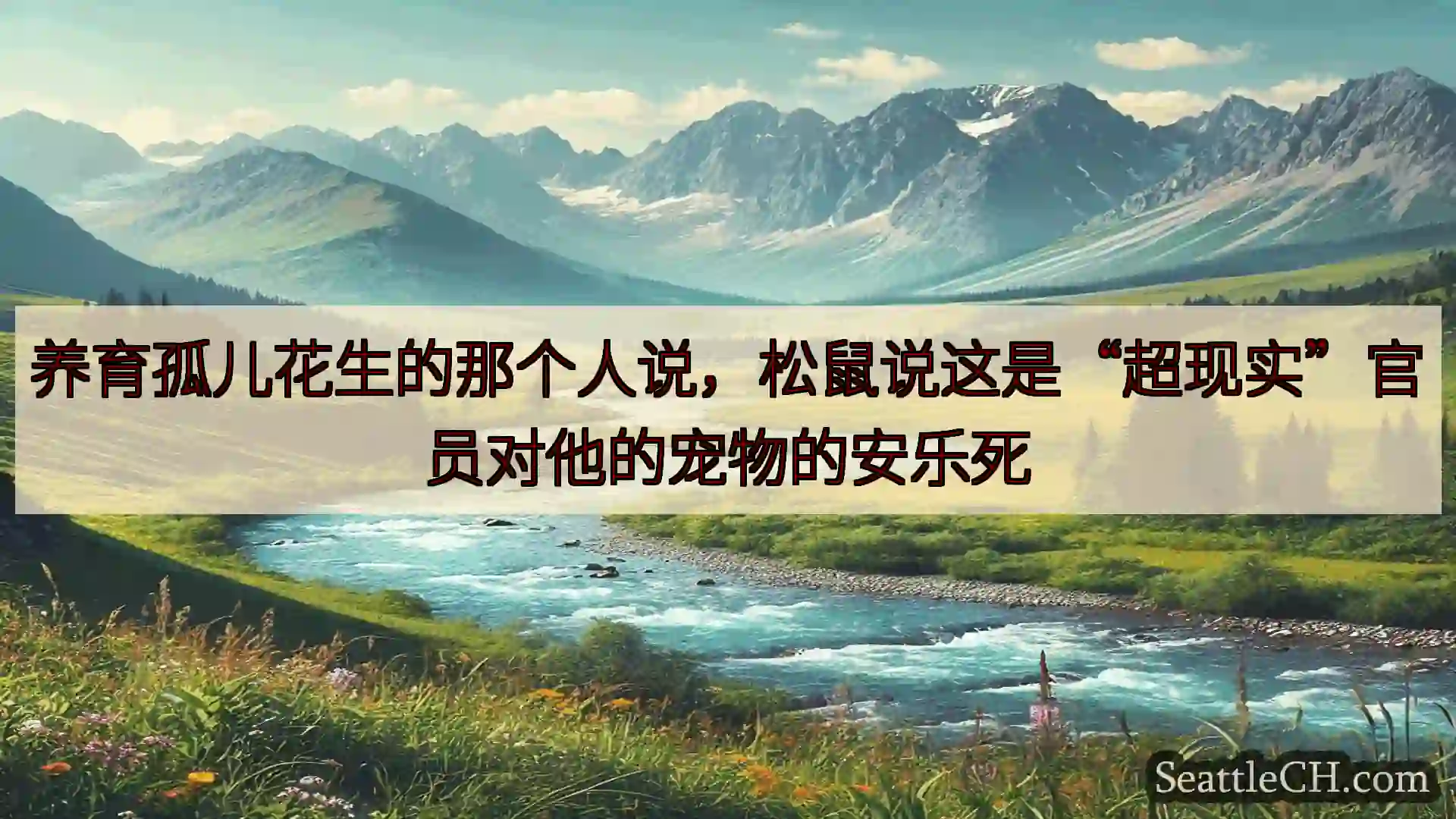 西雅图新闻 养育孤儿花生的那个人说，松鼠说这是“超现实”官员对他的宠物的安乐死