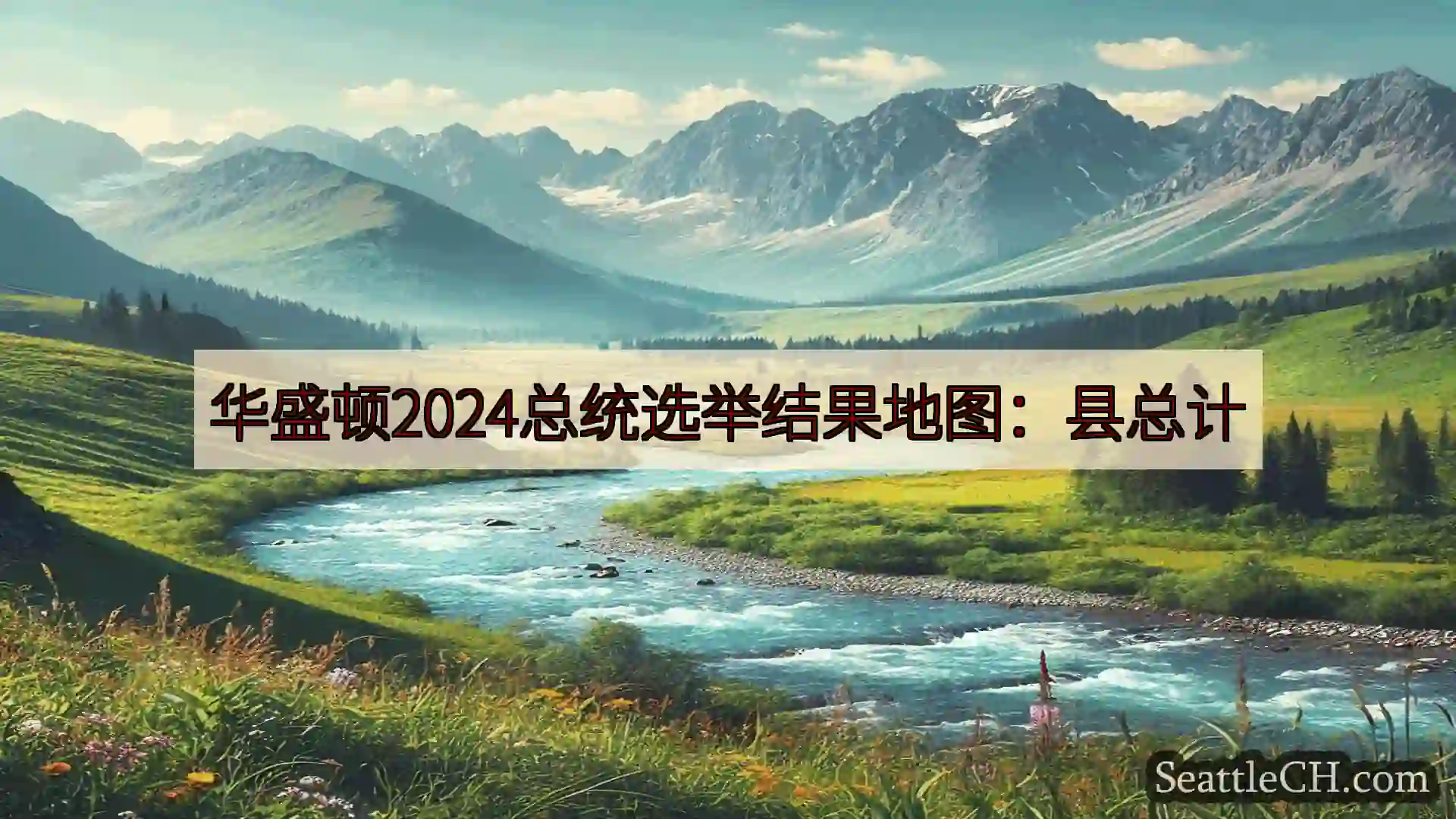 西雅图新闻 华盛顿2024总统选举结果地图：县总计