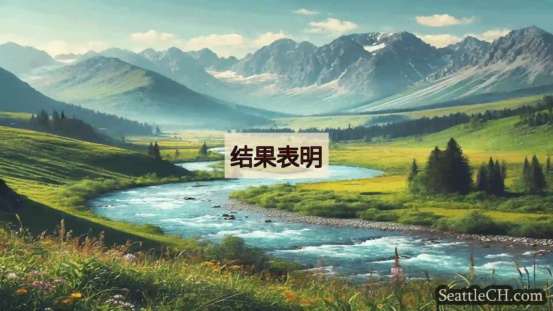 西雅图新闻 结果表明