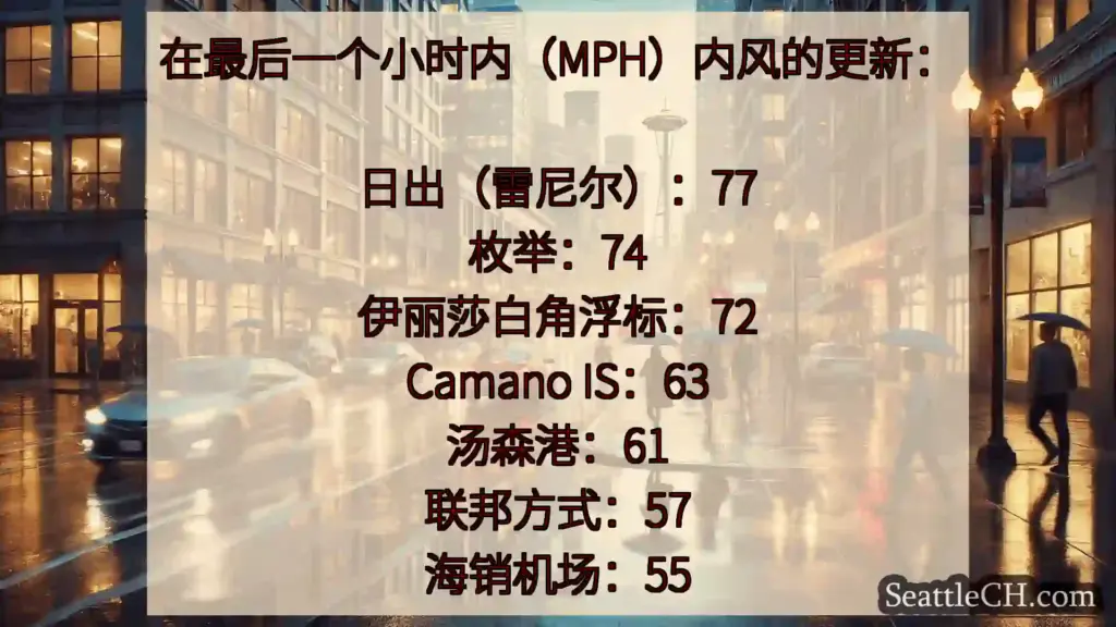 西雅图天气新闻 在最后一个小时内（MPH）内风的更新：