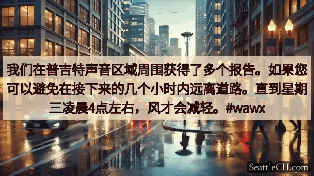 西雅图天气新闻 我们在普吉特声音区域周围获得了多个报告。如果您可以避免在接下来的几个小