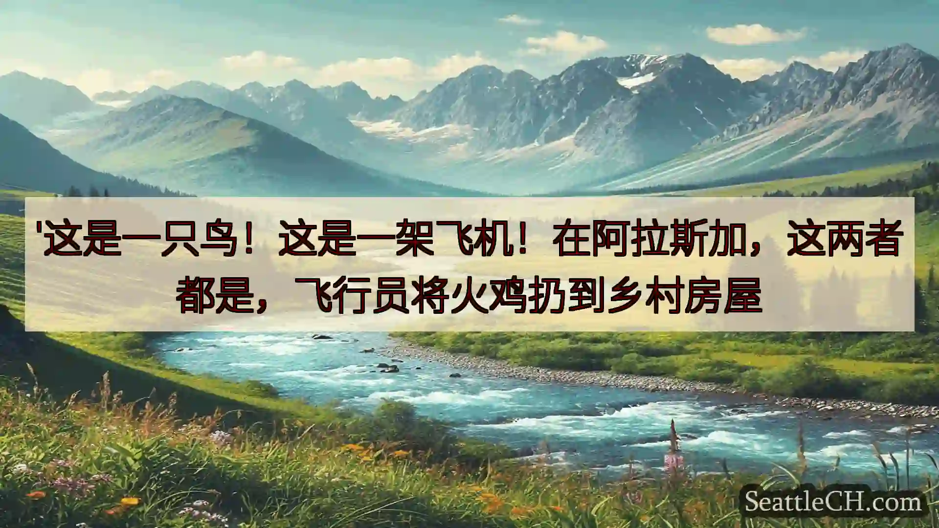 西雅图新闻 '这是一只鸟！这是一架飞机！在阿拉斯加，这两者都是，飞行员将火鸡扔到乡