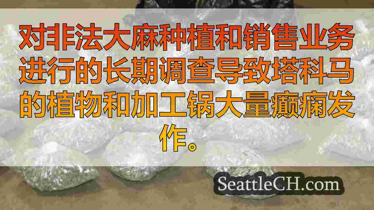 西雅图新闻 SeattleCH