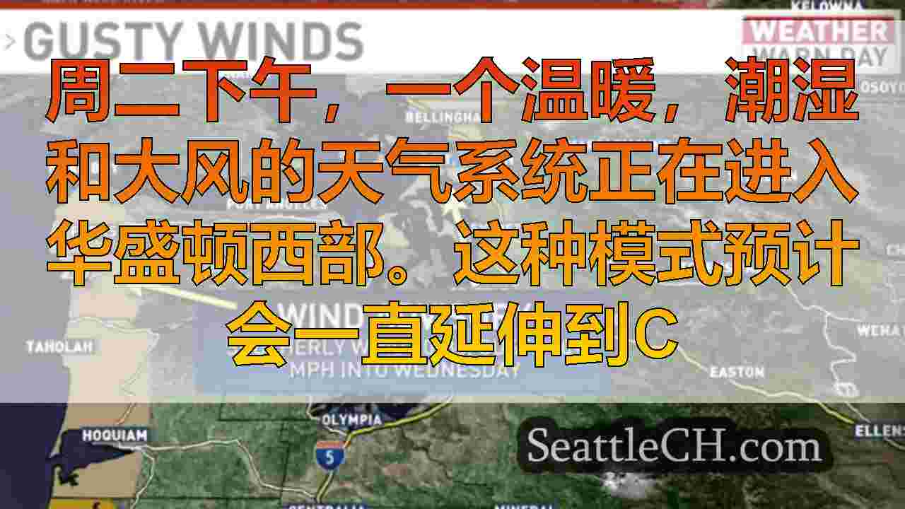 西雅图新闻 SeattleCH