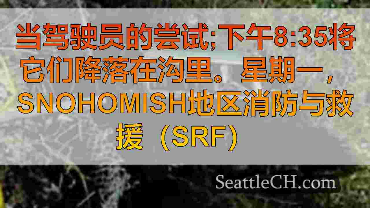 有少年的汽车在试图“漂流”时越过路堤。在史蒂文斯湖
