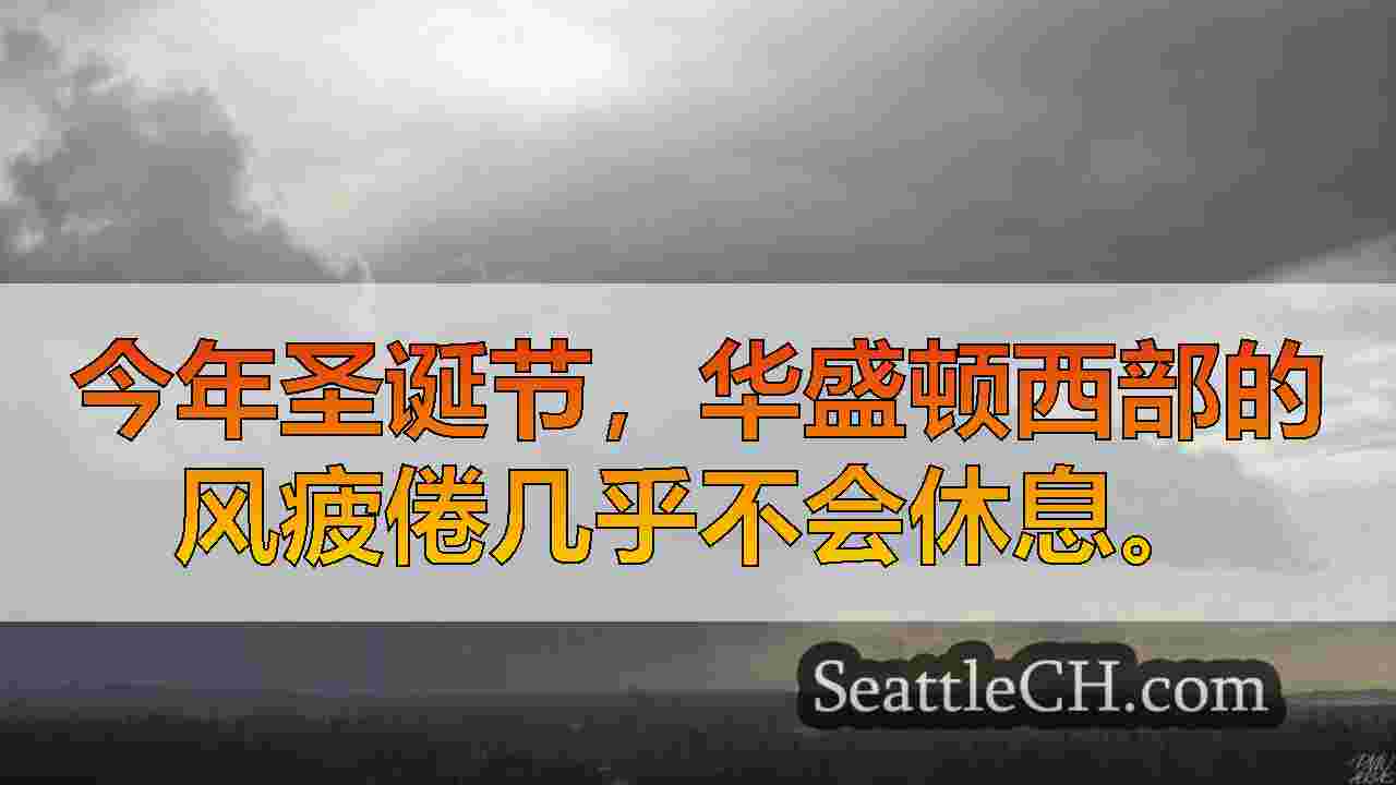 圣诞节那天的风暴将阵阵风和大山雪带到华盛顿