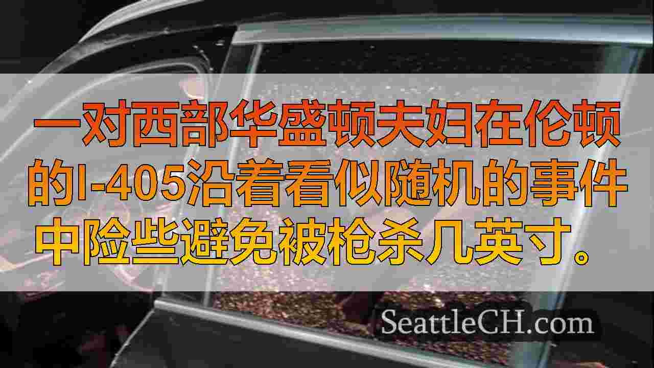 夫妇在伦顿的I-405上险些逃脱了枪声，因为子弹错过了英寸