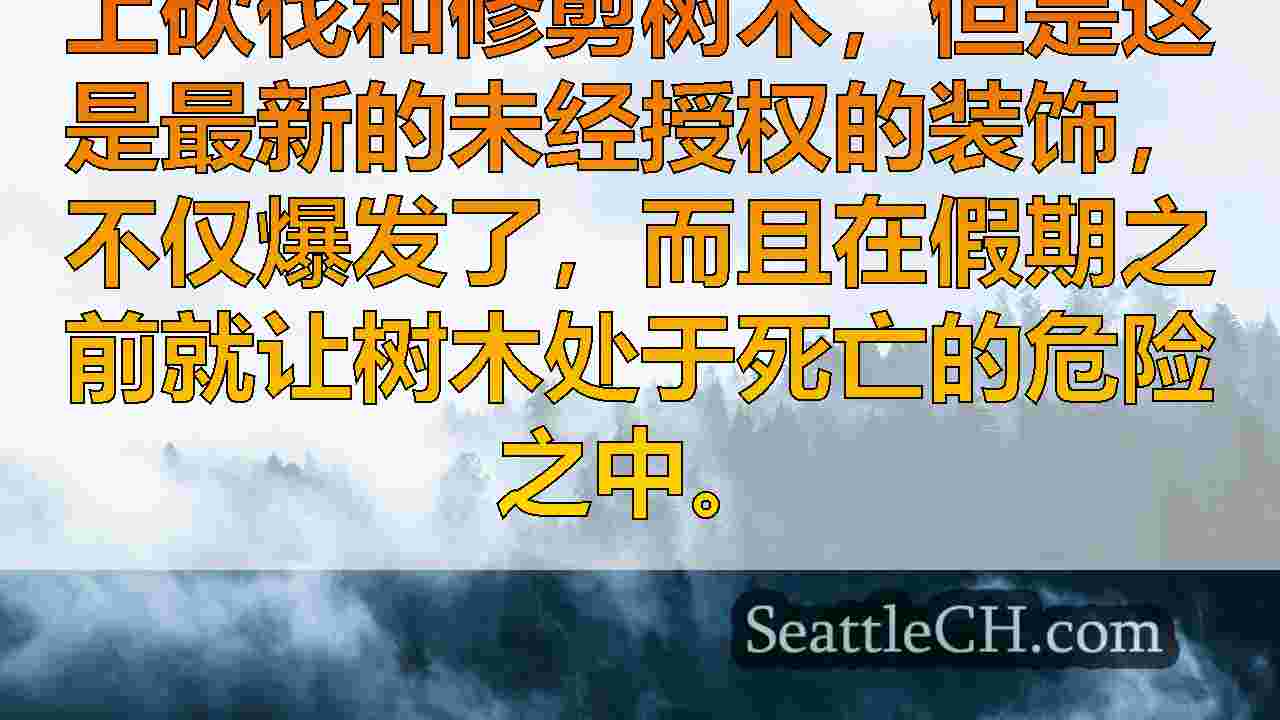 西雅图新闻 SeattleCH