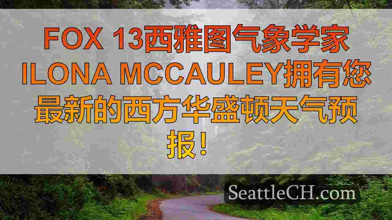西雅图新闻 SeattleCH