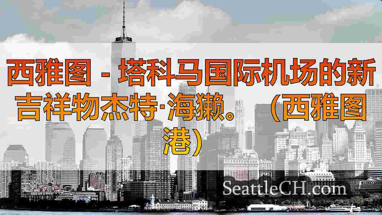 西雅图新闻 SeattleCH