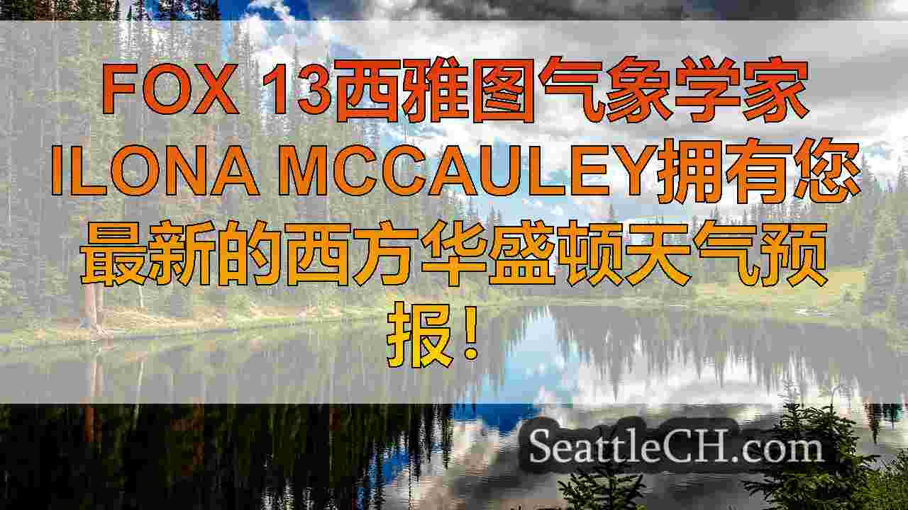 西雅图新闻 SeattleCH