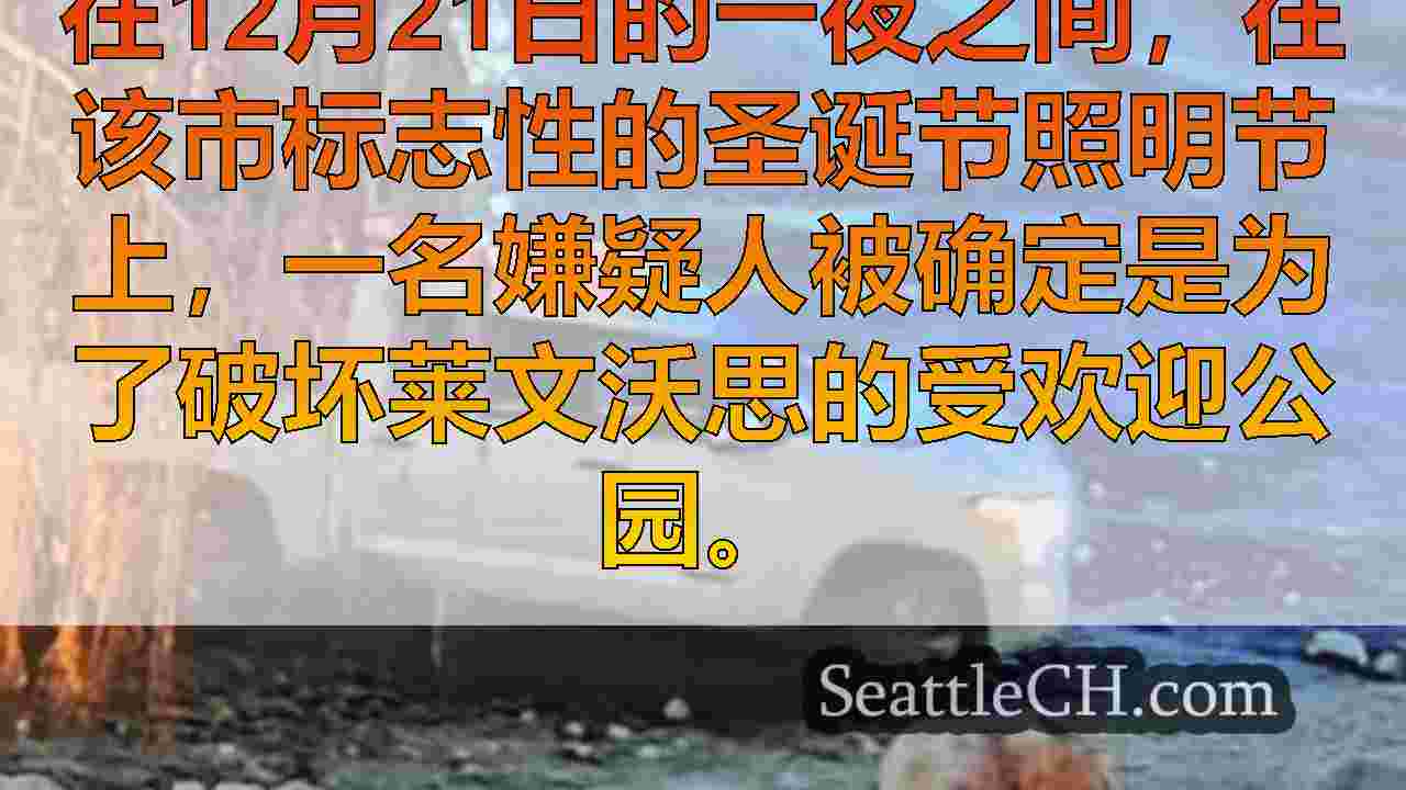 警方识别vandal谁做了甜甜圈，撕毁了莱文沃思公园