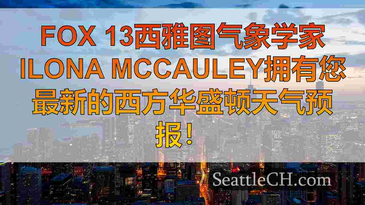 西雅图新闻 SeattleCH