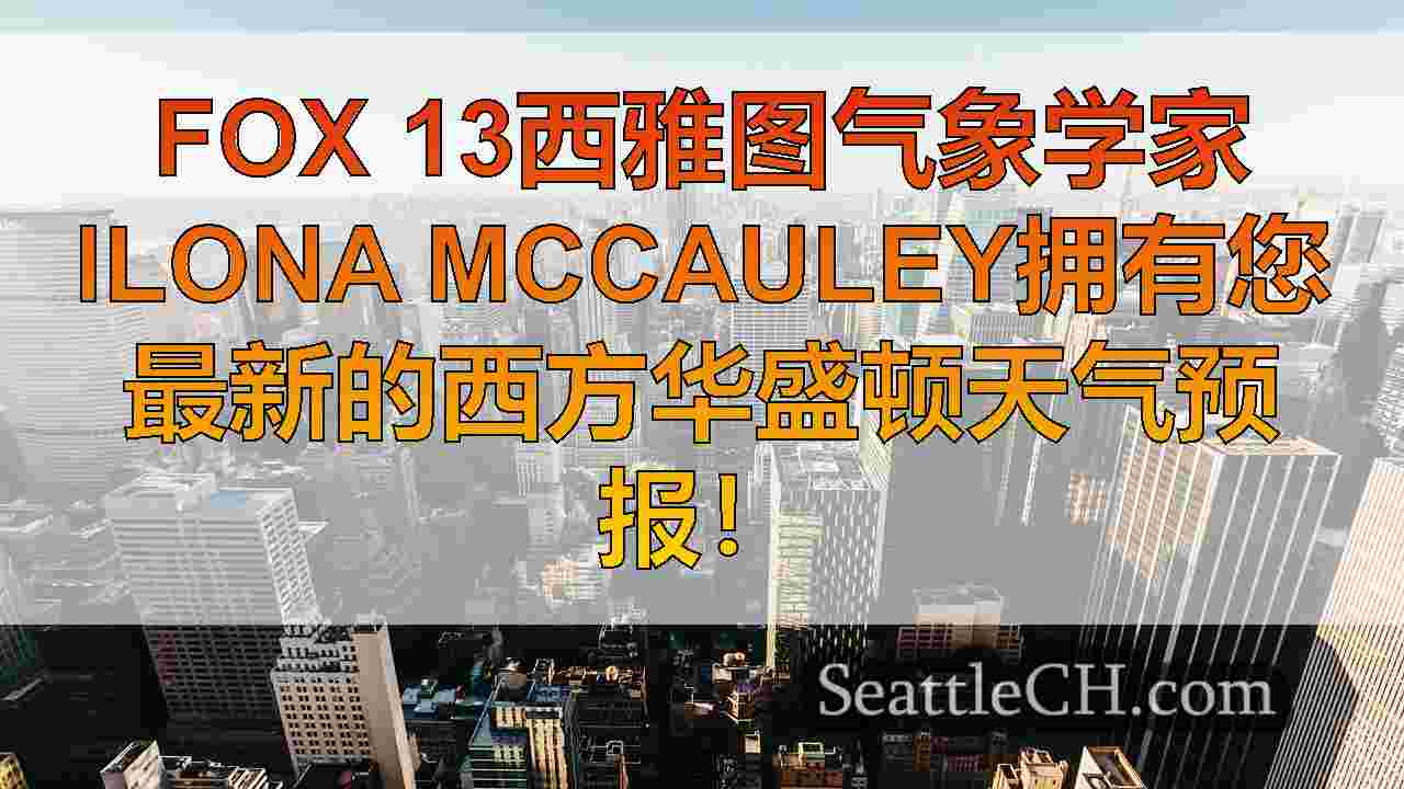 西雅图新闻 SeattleCH