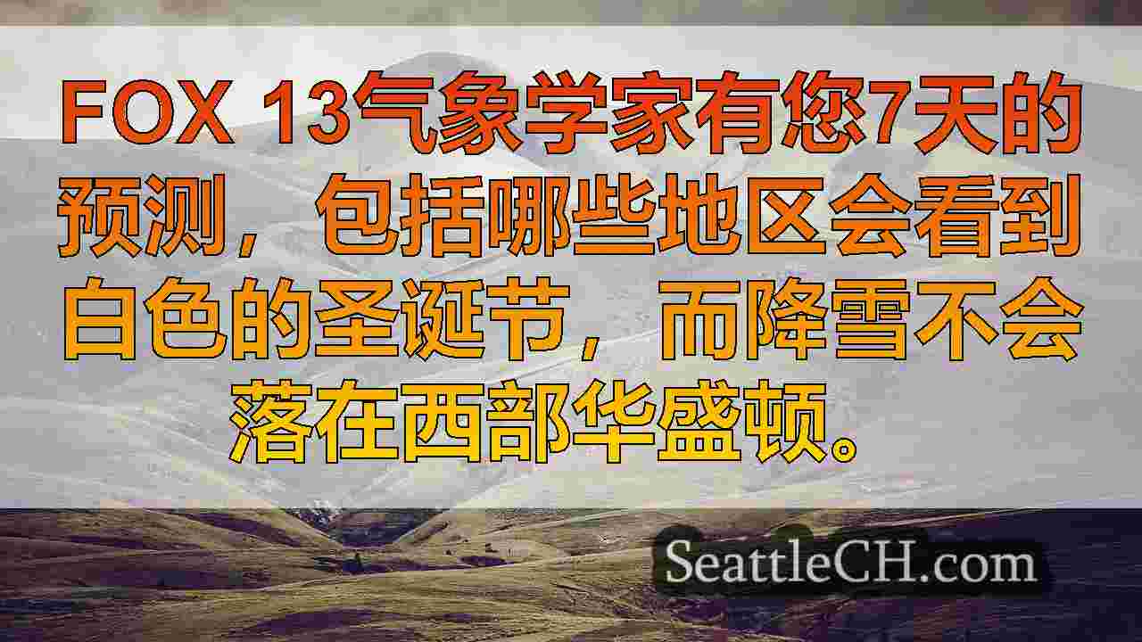 西雅图新闻 SeattleCH