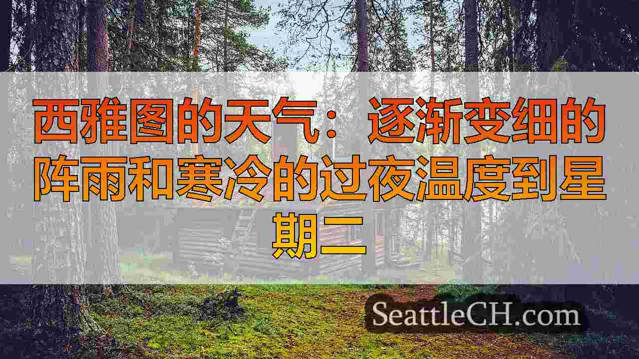 西雅图新闻 SeattleCH