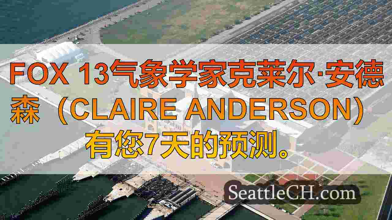 西雅图新闻 SeattleCH
