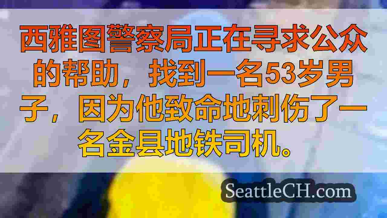 西雅图新闻 SeattleCH