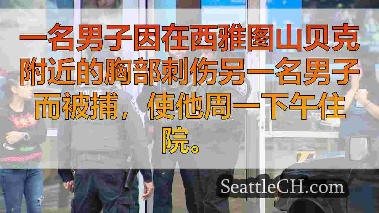 男子在刺伤受害者后被捕在西雅图山贝克附近住院