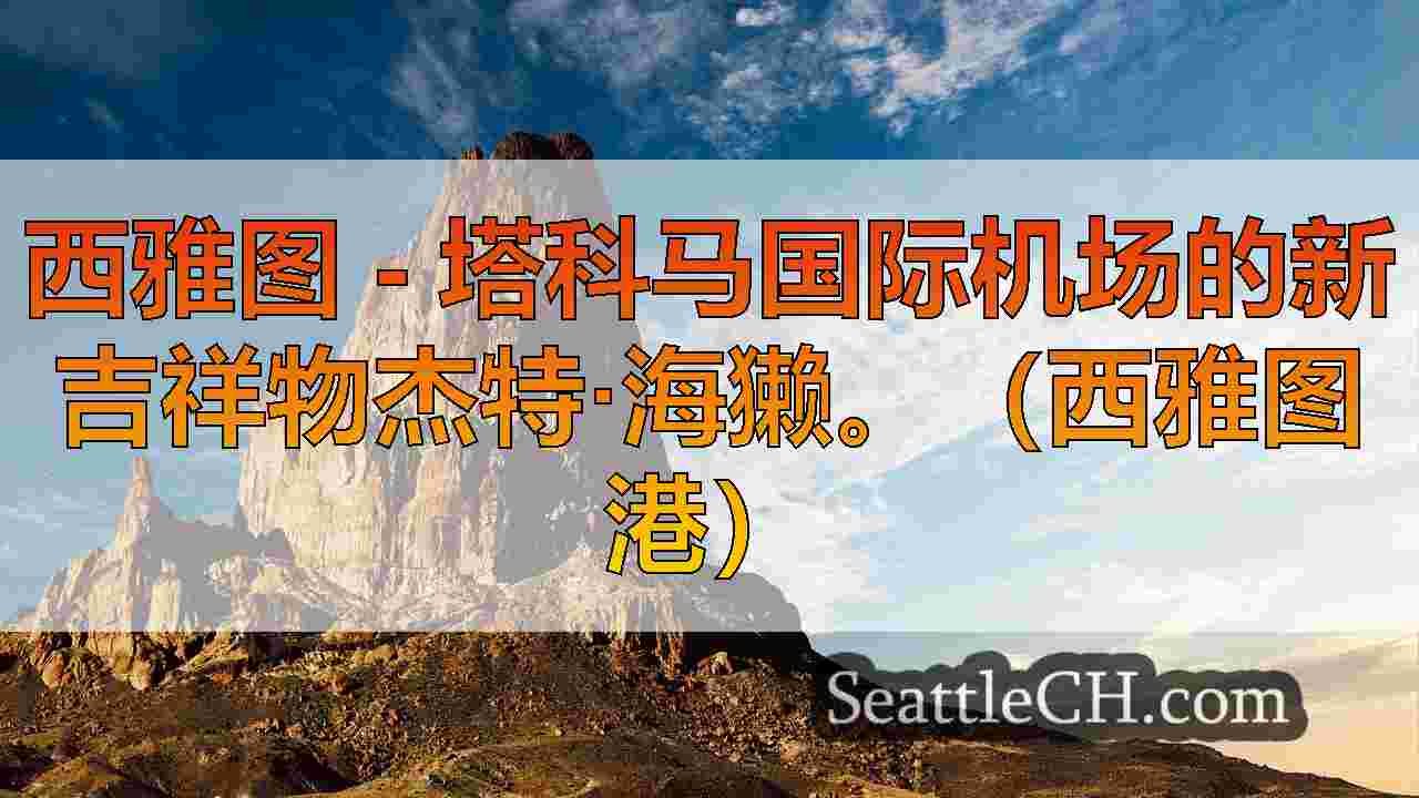 西雅图新闻 SeattleCH
