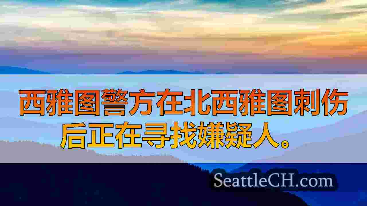 男子在北西雅图跑步时被刺伤