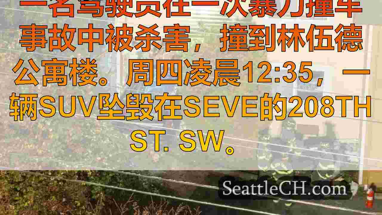 妇女在暴力撞车中被杀
