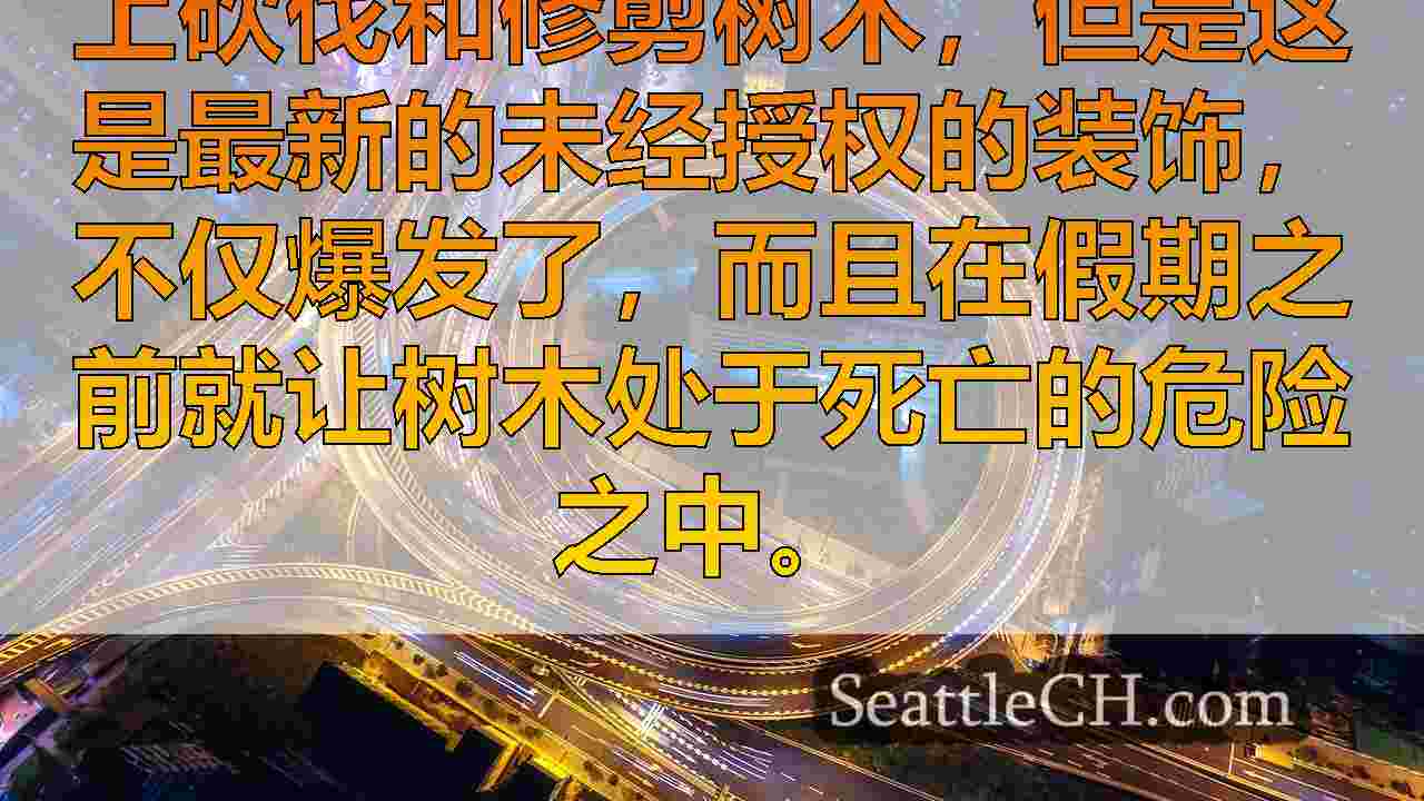 西雅图新闻 SeattleCH