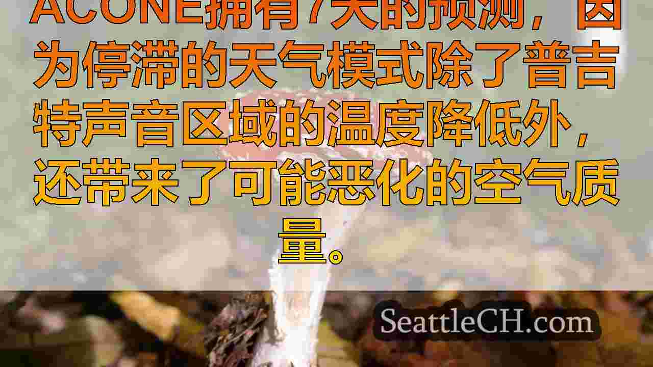 西雅图新闻 SeattleCH