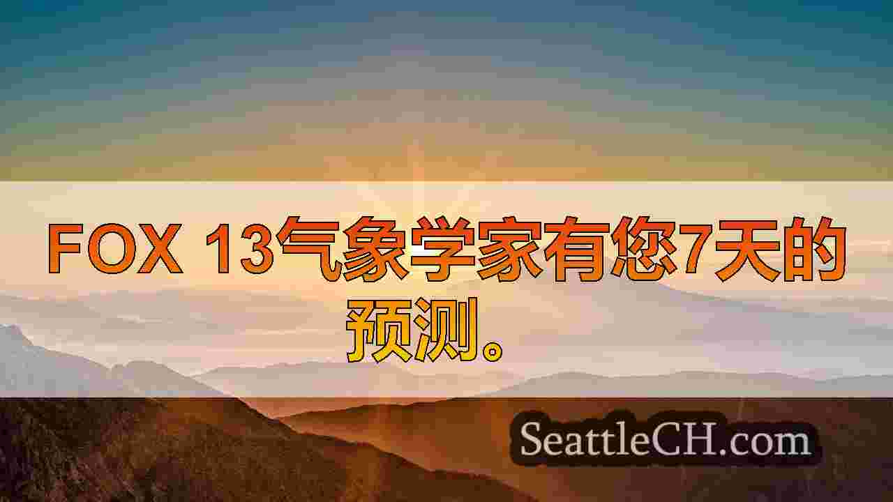 西雅图新闻 SeattleCH