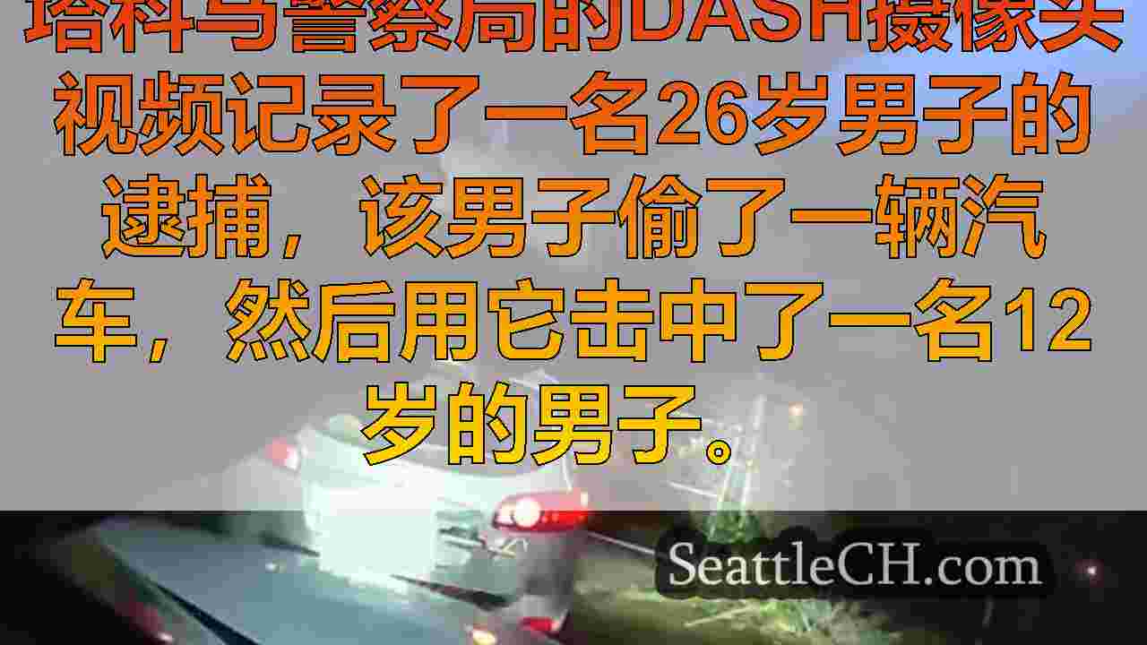 警察摄像机录像捕获了被盗汽车击中12岁的嫌疑人的逮捕