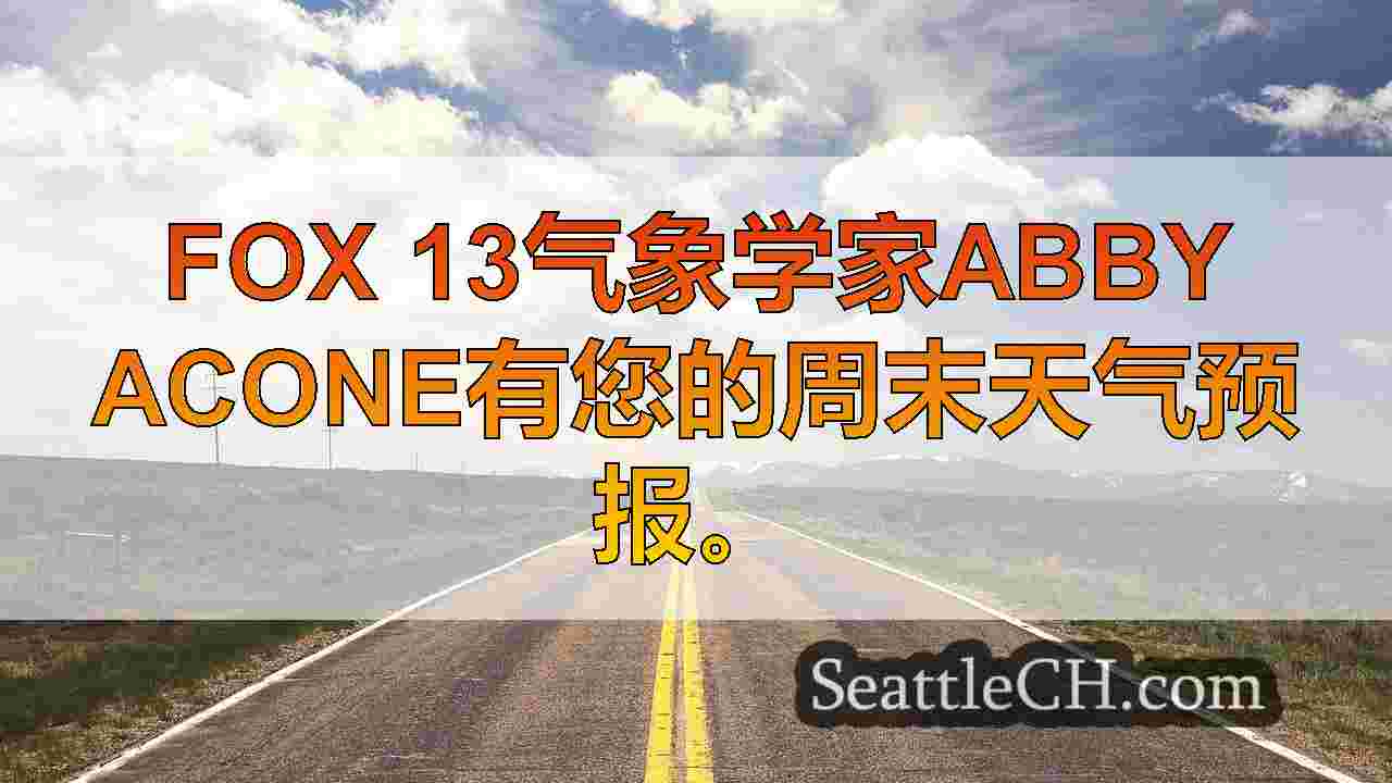 西雅图新闻 SeattleCH