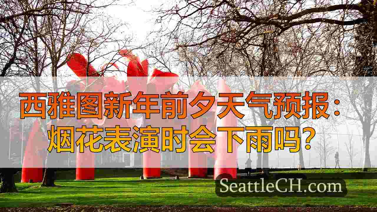 降雨会妨碍西雅图的除夕烟花表演吗？这就是我们所知道的