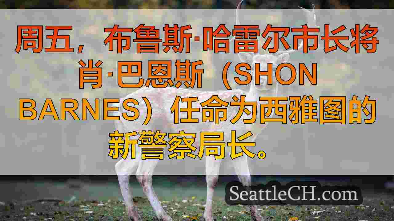 西雅图新闻 SeattleCH