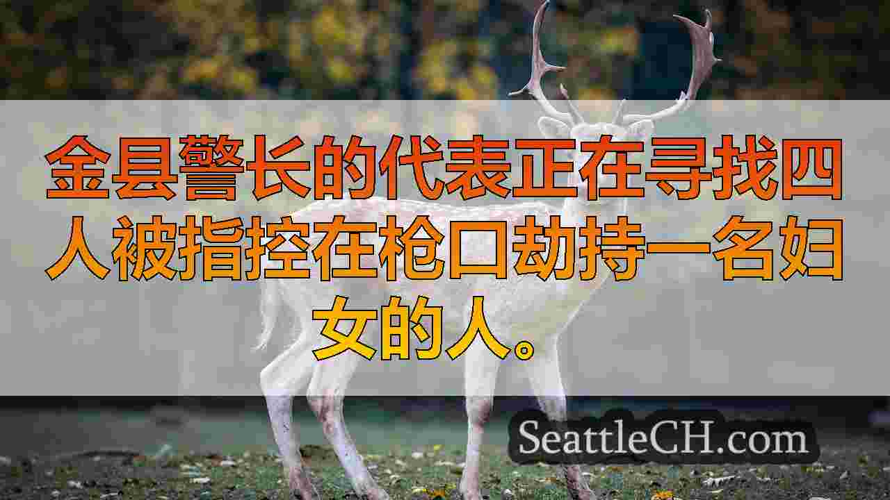 西雅图新闻 SeattleCH